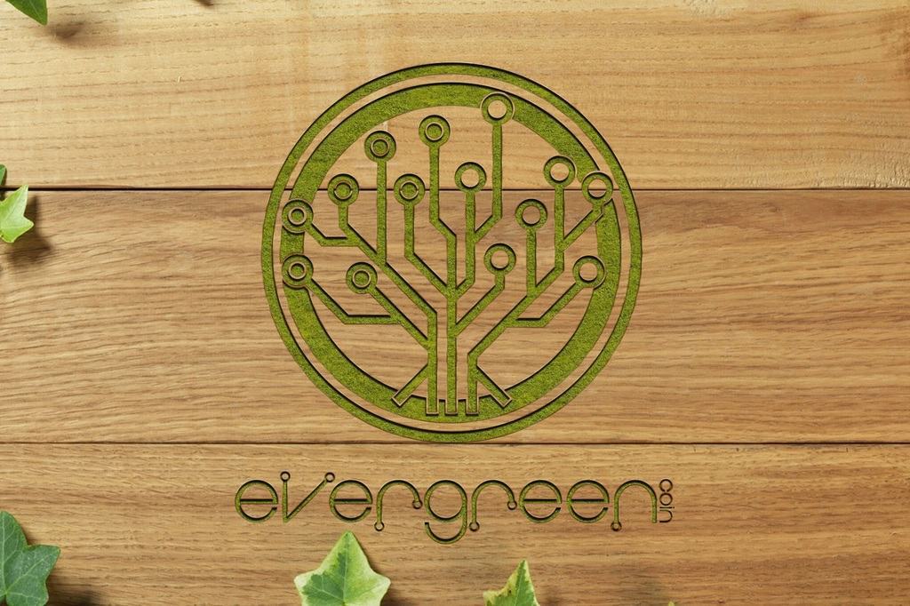Çevreci bir Kripto Para Birimi İle Tanışın: EverGreenCoin