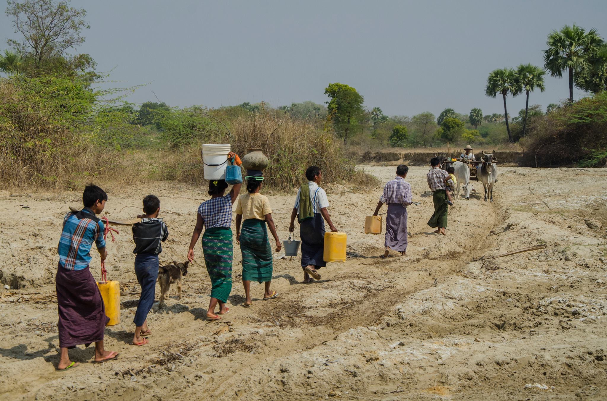 BM Genel Sekreteri Guterres: “İklim Değişikliği İnsanlık için En Büyük Tehdit”