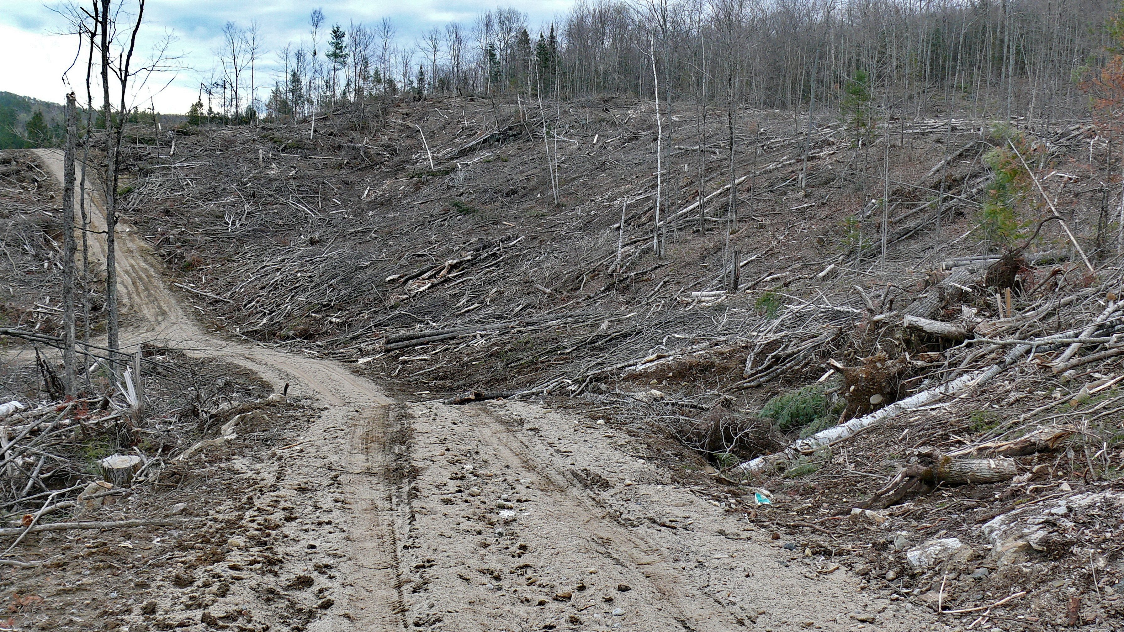 Ekosistemleri Mahvediyoruz!