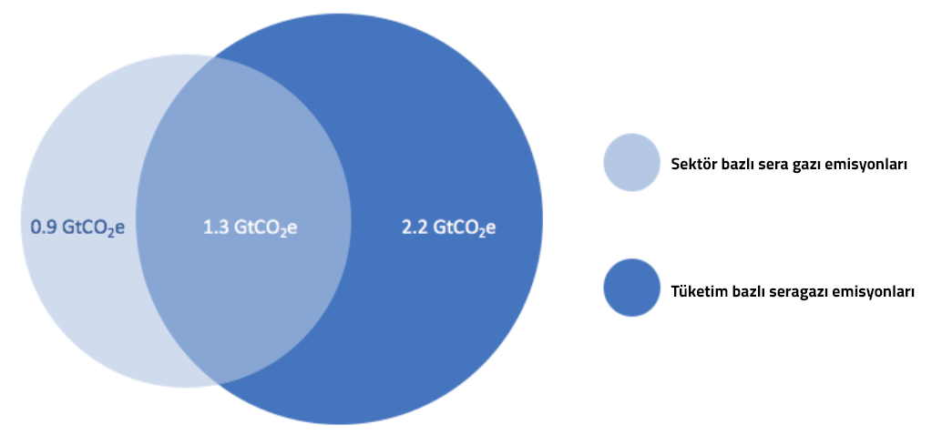 Şehirlerin Kümülatif Sera Gazı Emisyon Miktarları Hesaplanan Rakamlardan %60 Fazla Olabilir