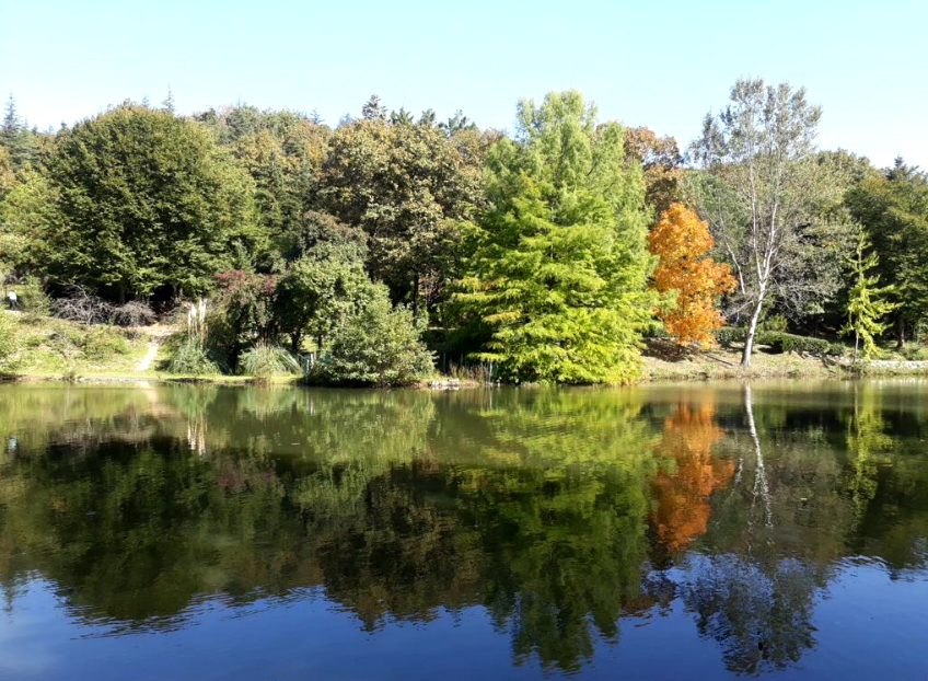 Türkiye’deki En Az 100 adet Su Varlığı Tehdit Altında!