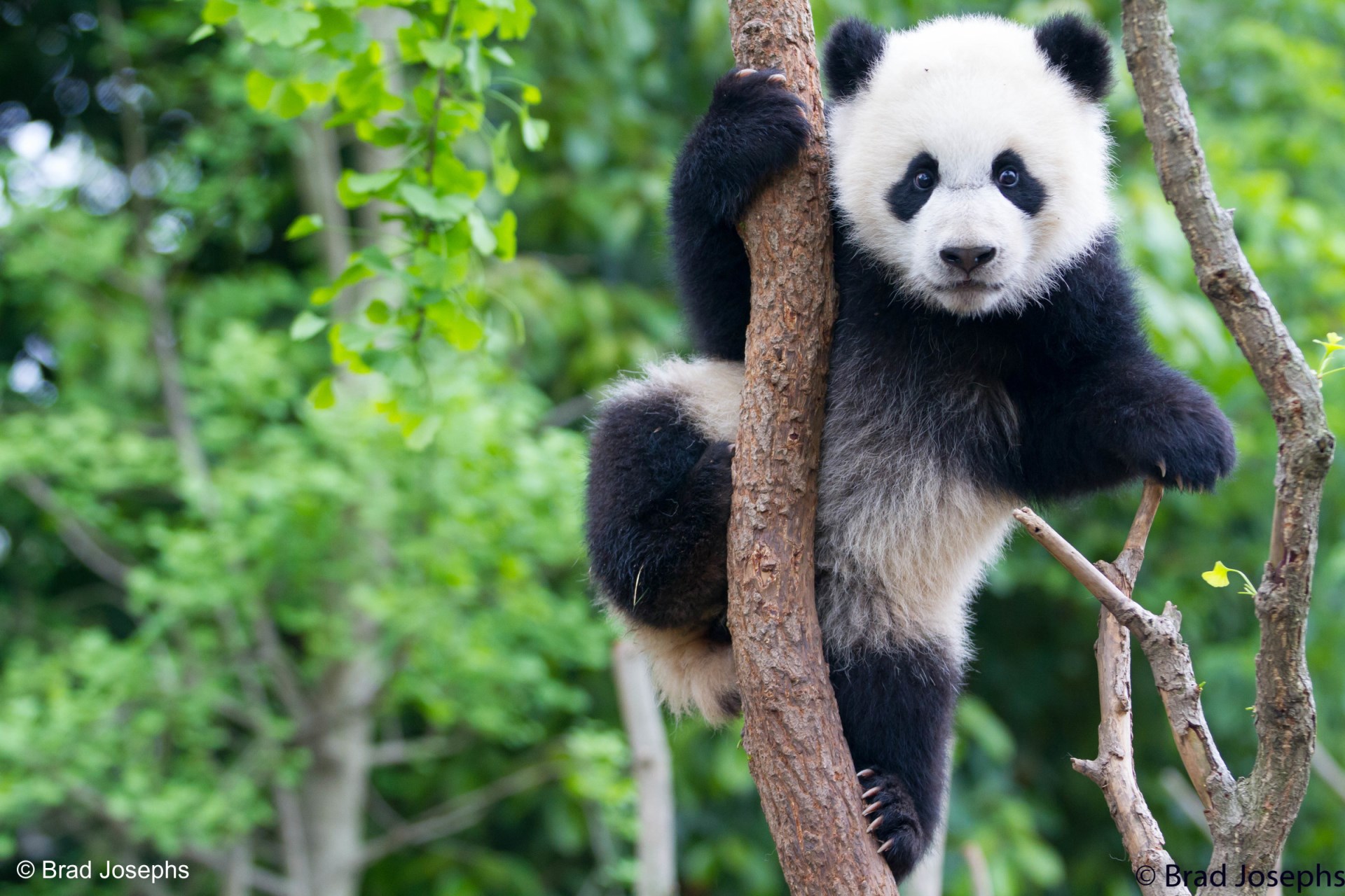 Uluslararası Biyoçeşitlilik Günü Kutlanıyor: Doğa ile Uyumlu Sürdürülebilir bir Gelecek
