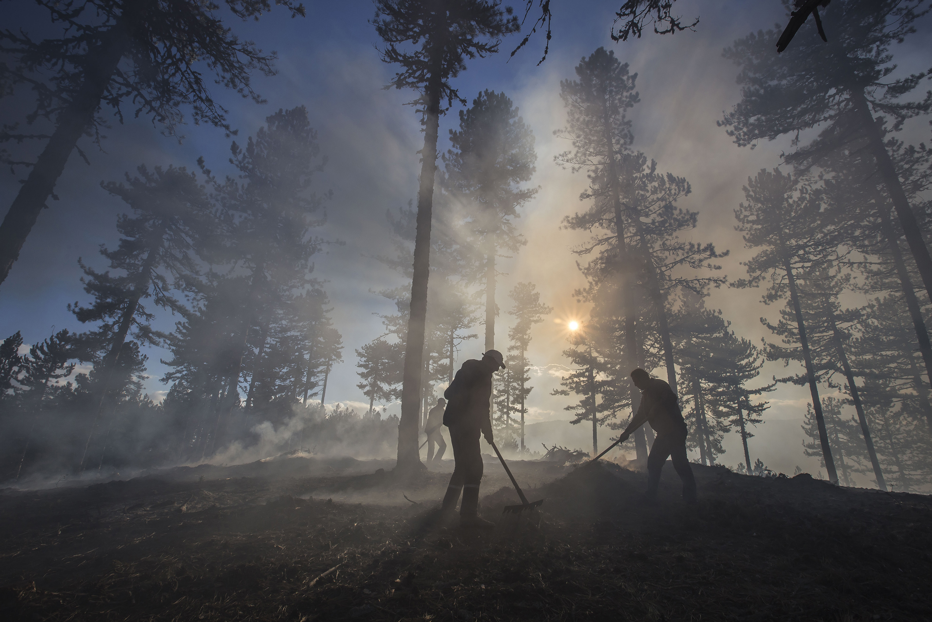 Türkiye’nin İklim Politikaları Cinsiyete Duyarlı Değil