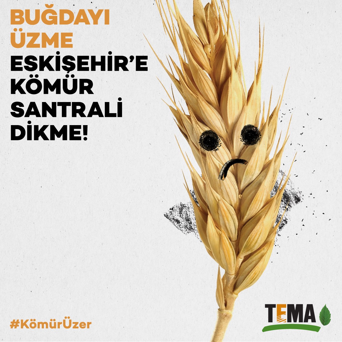 Eskişehir: ÇED Raporunda Olanlar, Olmayanlar