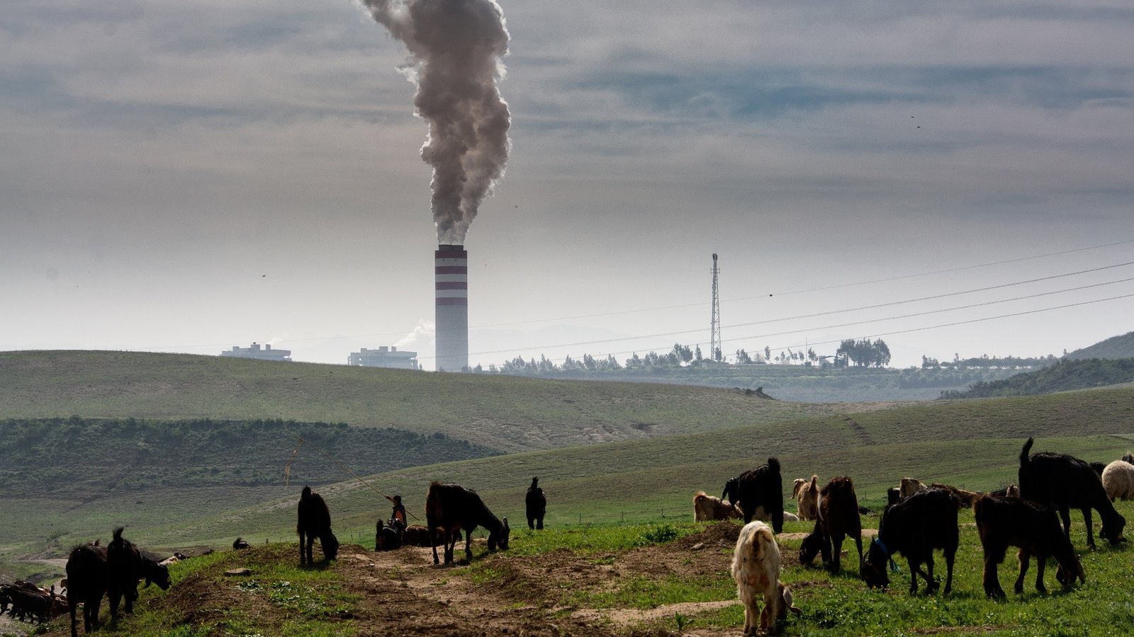 Hava Kirliliği Türkiye’de Her Yıl 32 bin Kişinin Erken Ölümüne Neden Oluyor