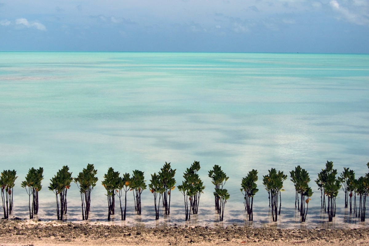 Pasifik Ülkeleri İklim Değişikliğini En Büyük Tehdit Olarak İşaret Etti