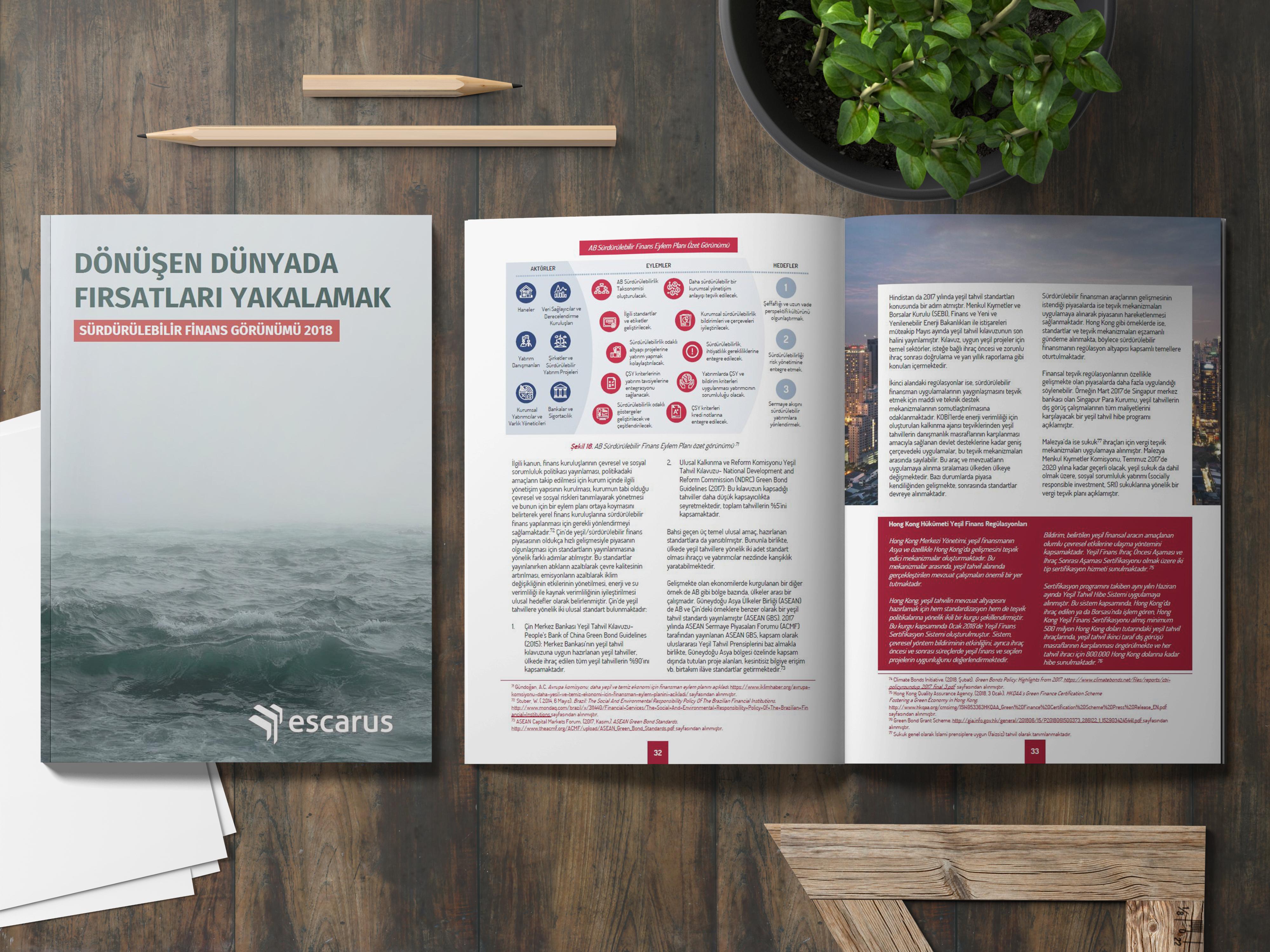 “Sürdürülebilir Finans Görünümü Raporu” Yayımlandı: Yeşil ve Sosyal Tahviller Odakta