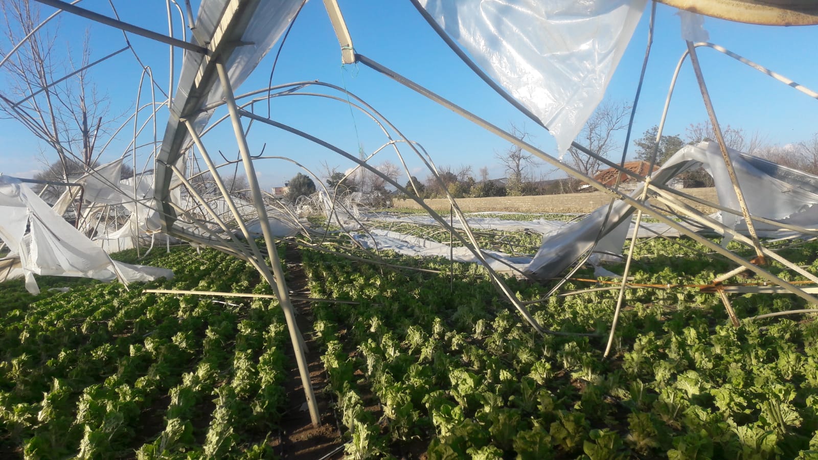 Antalya’nın Hortum Sınavı: Kent, İklim Değişikliğine Hazır mı?