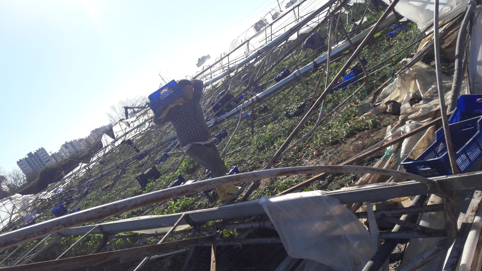 TARSİM’den Çiftçilere İklim Değişikliği Uyarısı: “Sigortanızı Yaptırın”