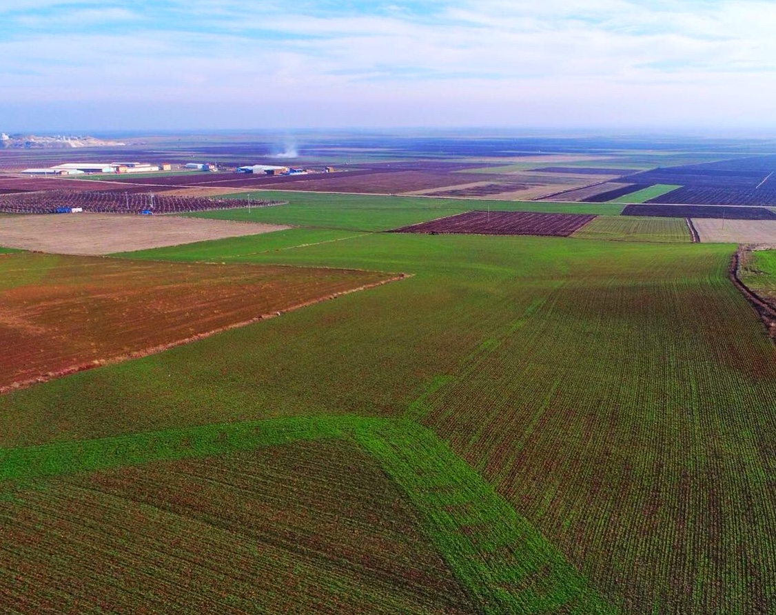 TEMA Vakfı: “Alpu Termik Santralı için Resmi Açıklama Yapılmalı”