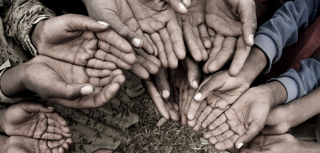 BM’den Küresel Gıda Krizi Uyarısı