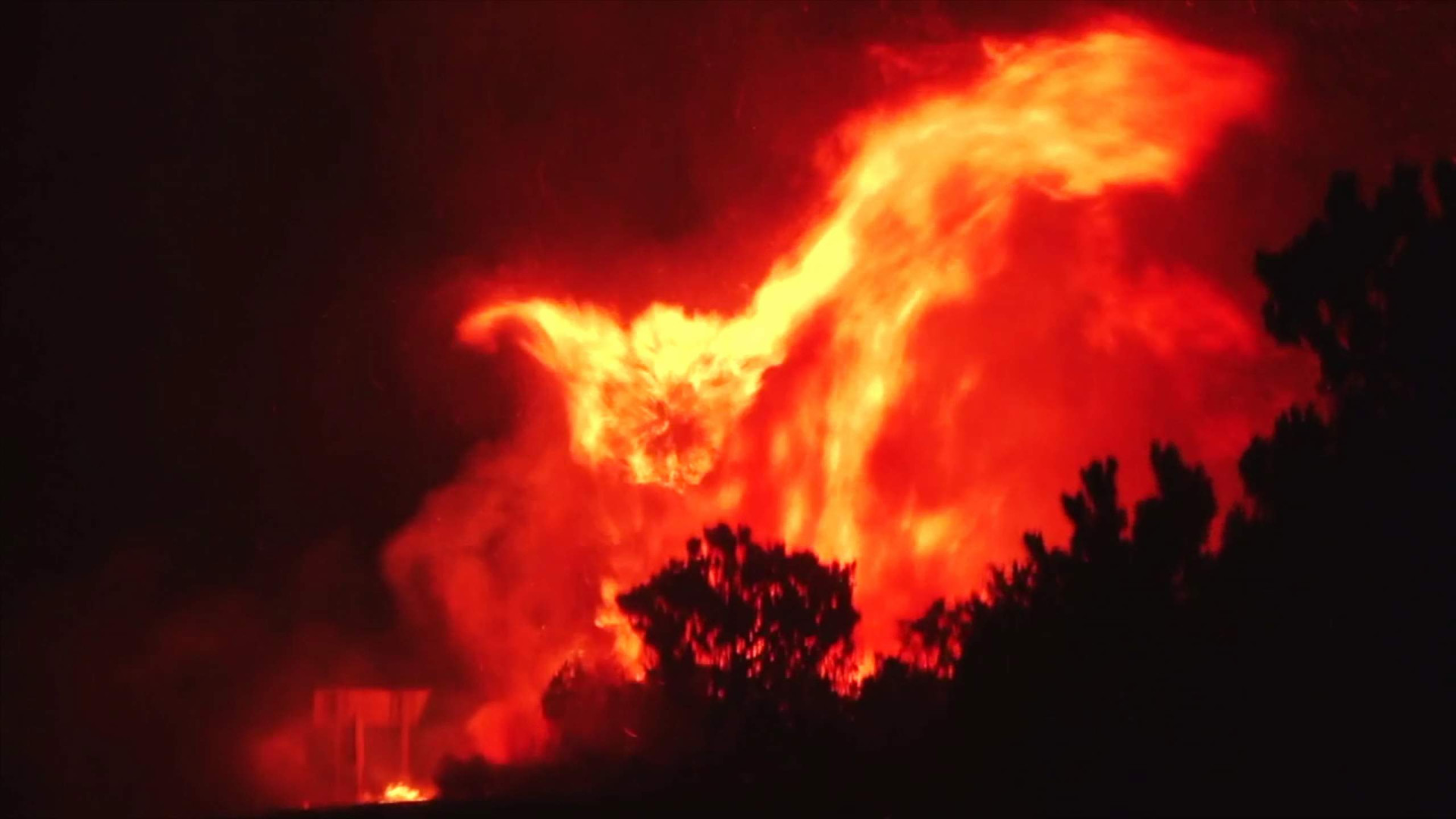 Dünyanın ‘’İkinci Akciğerleri’’ Afrika da Yanıyor