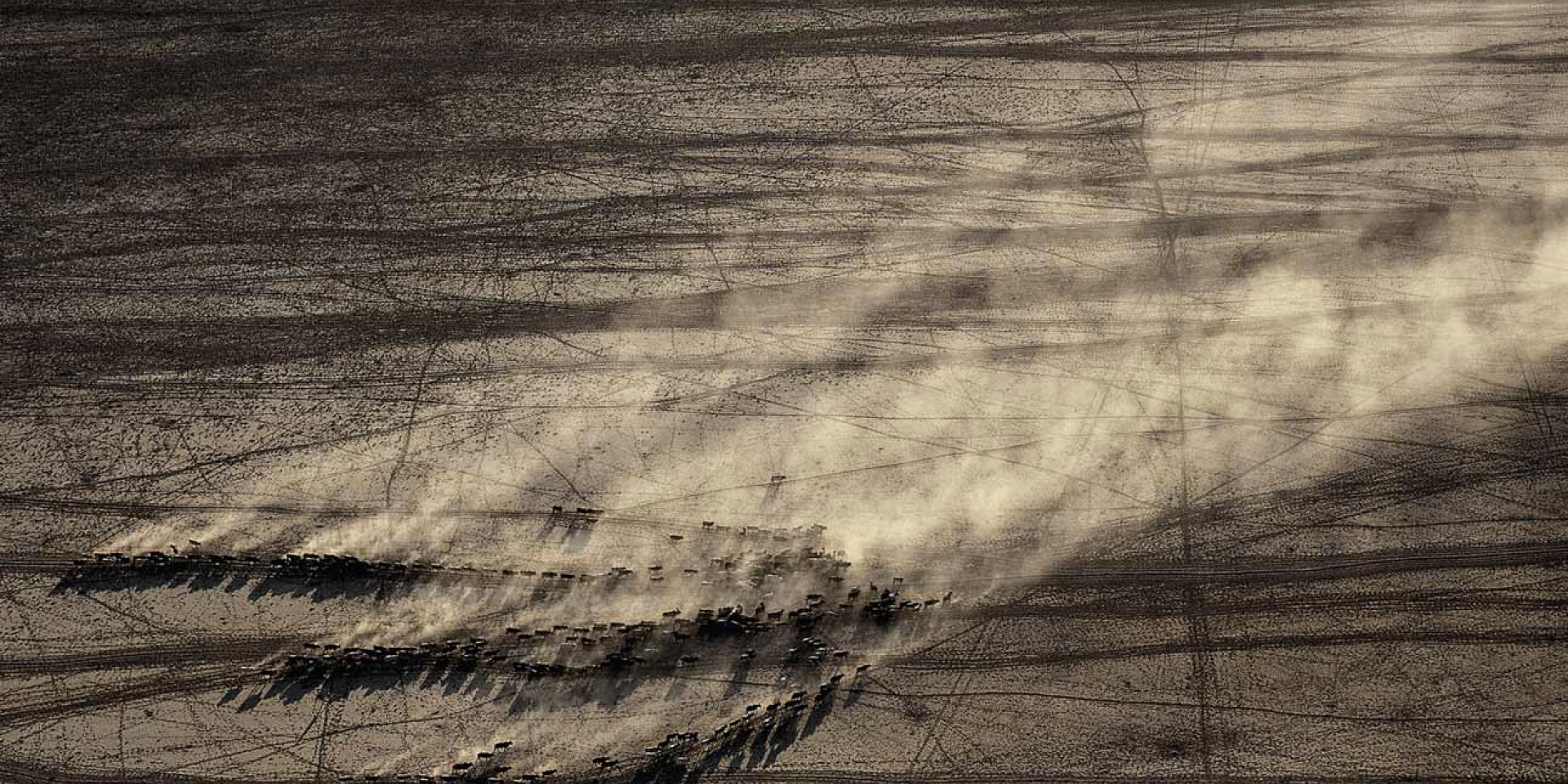 IPCC’nin Tarihi Raporu: Gıda Güvencesi için Emisyonlar Düşmeli