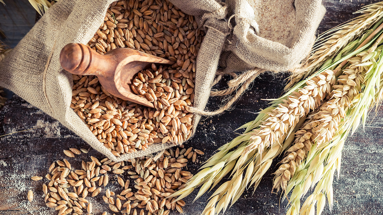 “Sürdürülebilir Arazi Yönetimi Emisyonları Azaltmanın Önemli Bir Yolu”