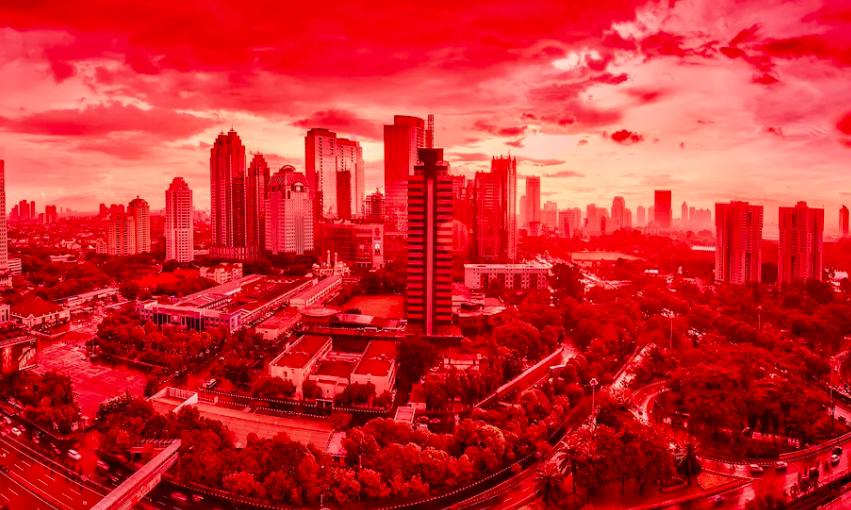 Endonezya’da Palm Yağı Plantasyonu İçin 800 Bin Hektarlık Alan Yok Oldu 