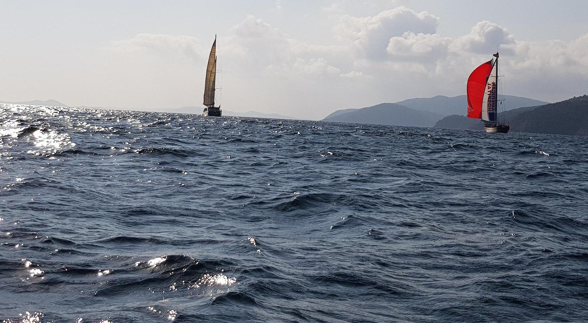 “Marmara Denizi Büyük Risk Altında”