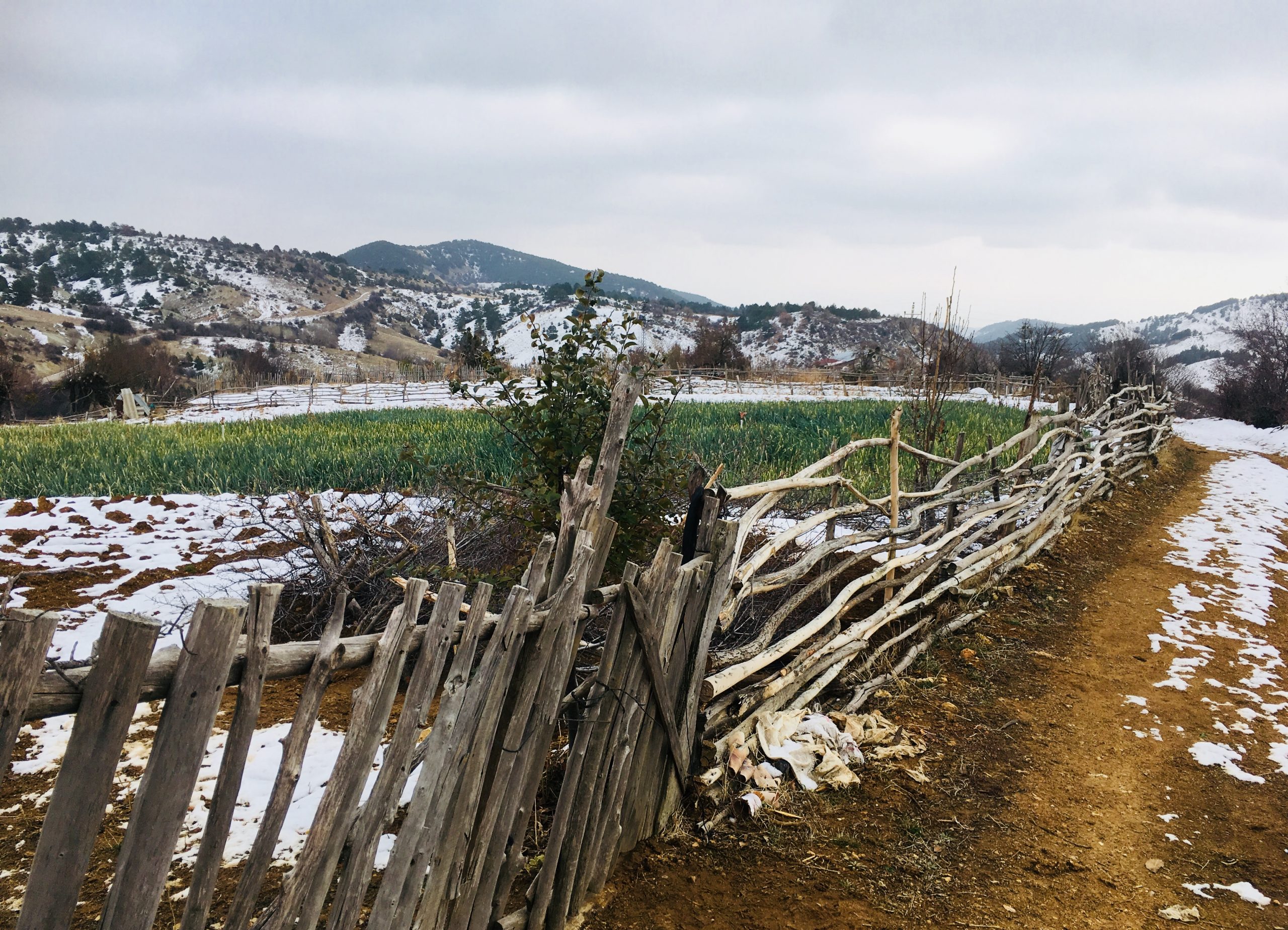 Doğanyurt’ta Kalker Ocağına Karşı Yasal Mücadele Başladı