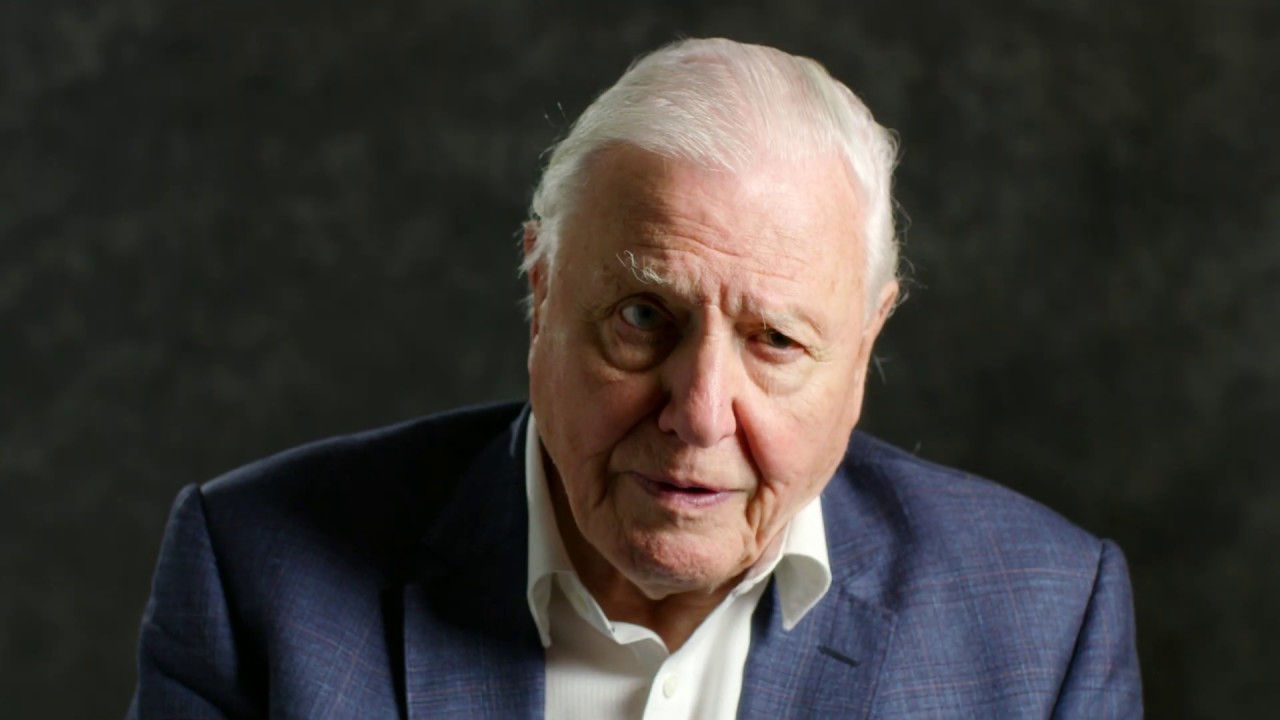 David Attenborough: “Kaçamak Cevapları Bırakalım, Kriz Noktasına Vardık”
