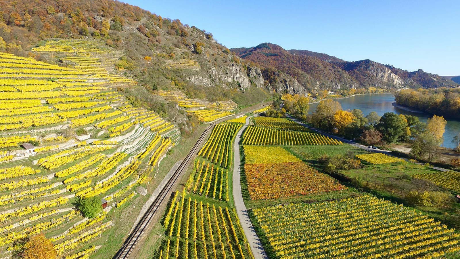 “Yeşil Ekonomi El Kitabı” Yayında: Yeşil Ekonominin Yolu Nerede Geçiyor?