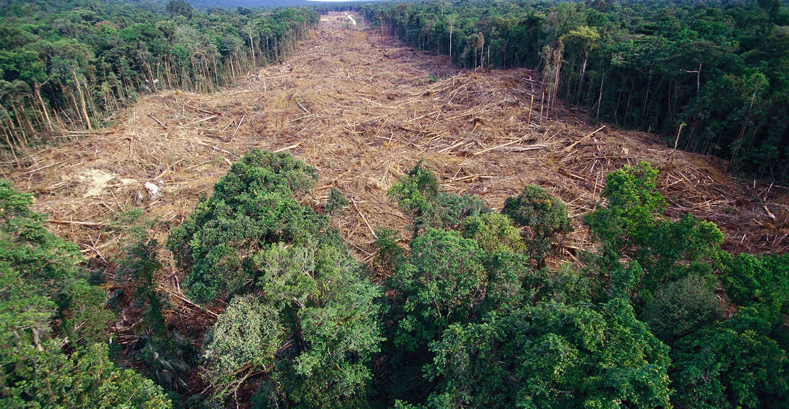 WWF: “Doğa Tahribatı Ekonomik Büyümeye Büyük Darbe Vuracak”
