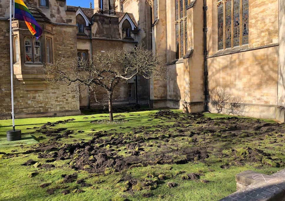 Yokoluş İsyanı Cambridge’te: “Doğayı Kâr Amacıyla Tahrip Etmeyin”