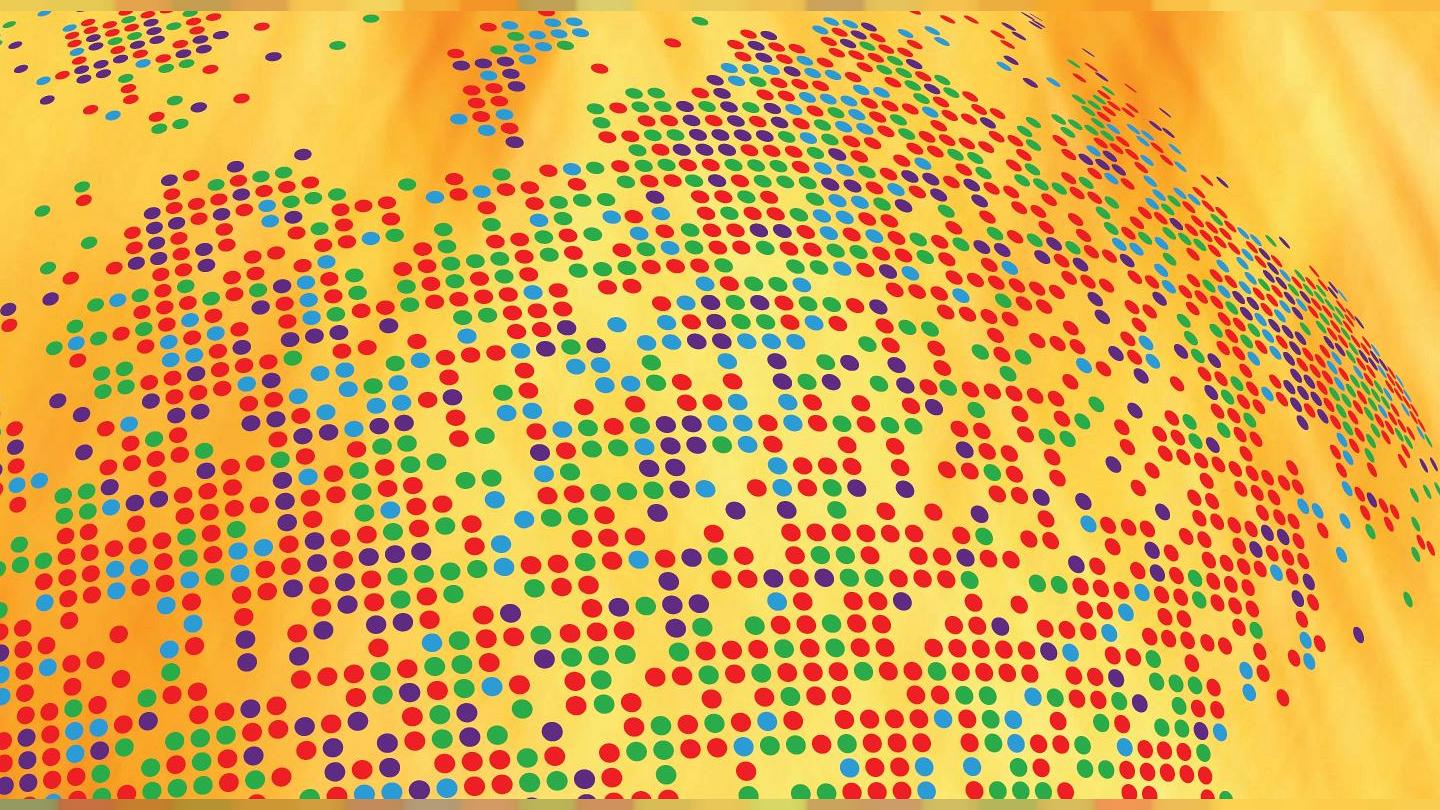 2019 İnsani Gelişme Raporu Adana Tanıtım Toplantısı İleri Bir Tarihe Ertelendi