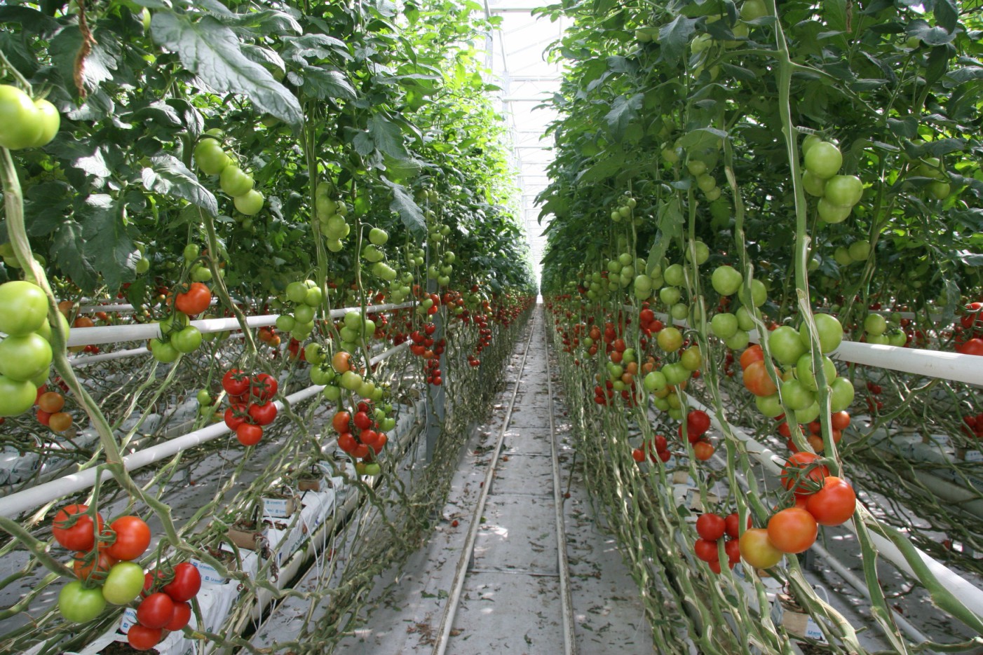 TÜSİAD: İklim Krizinin Yaratacağı Fiyat Artışları Ürün Bazında Yüzde 84’ü Bulabilir