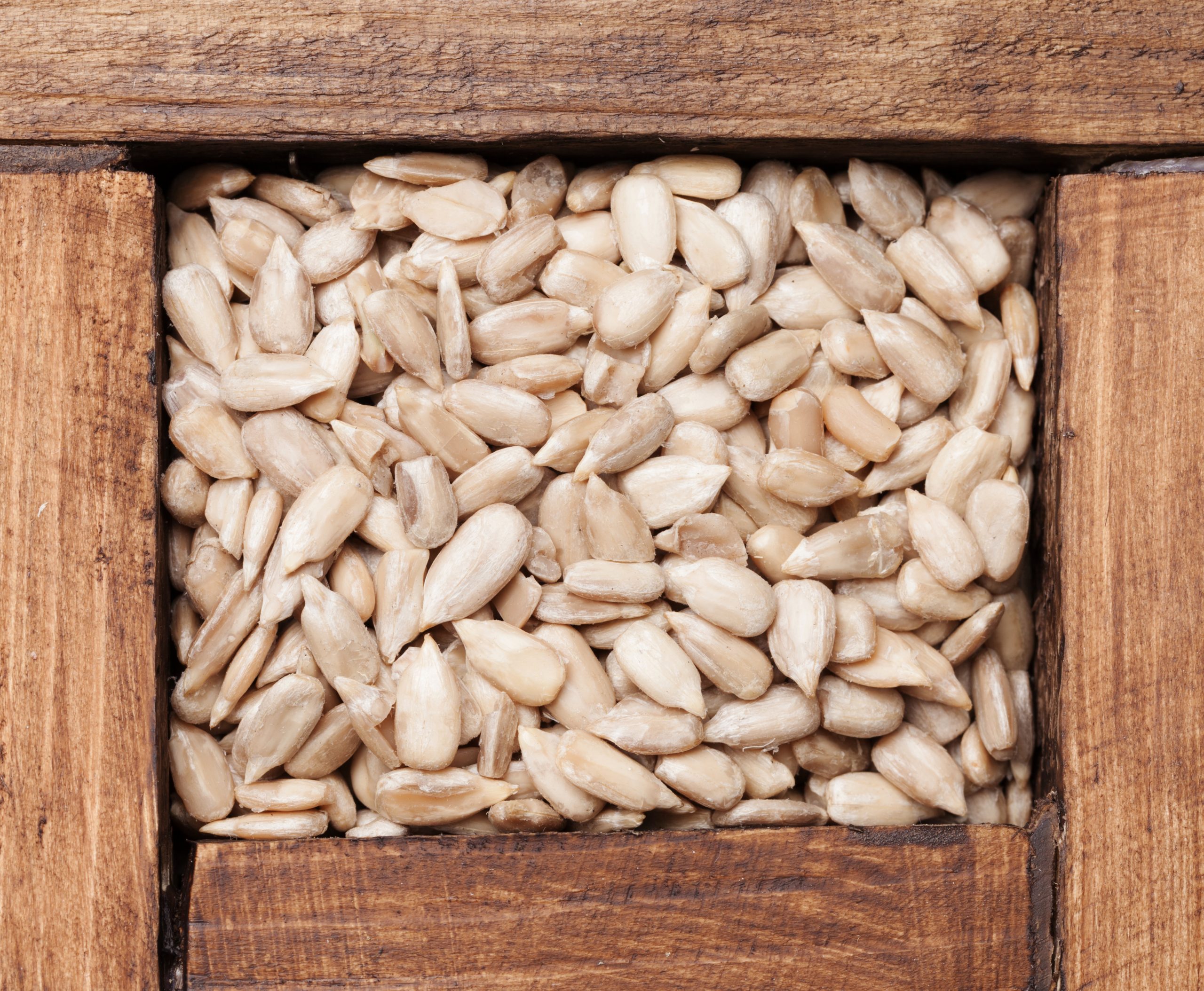 Toprak, Gıda ve Hayat için Girişimcilik