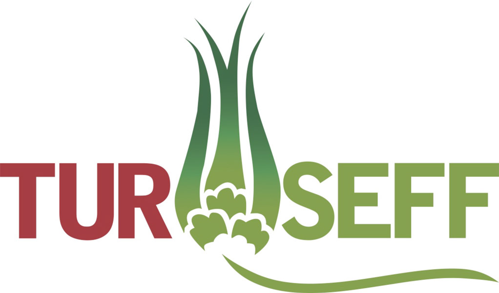 TurSEFF: Enerji Verimliliği “Yerli ve Milli Enerji Kaynağı” Olarak Görülmeli