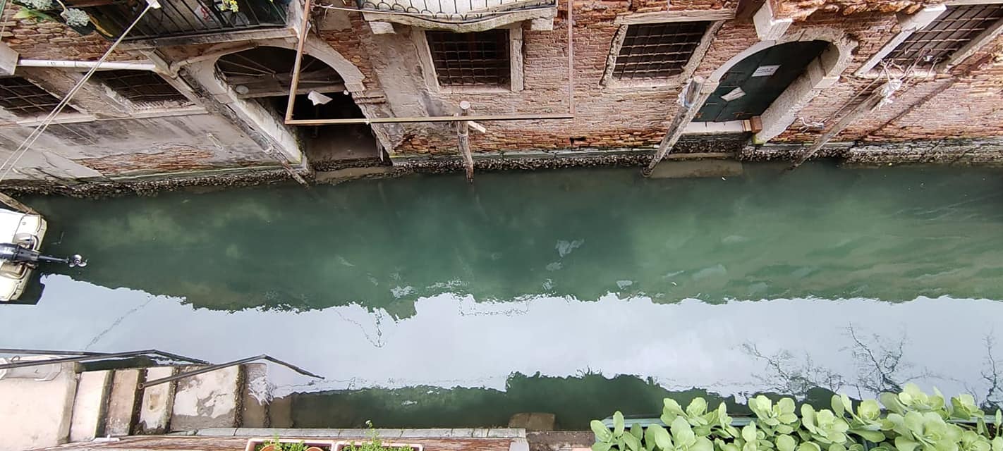 Turistlerin Yokluğu Venedik Kanallarını Canlandırdı