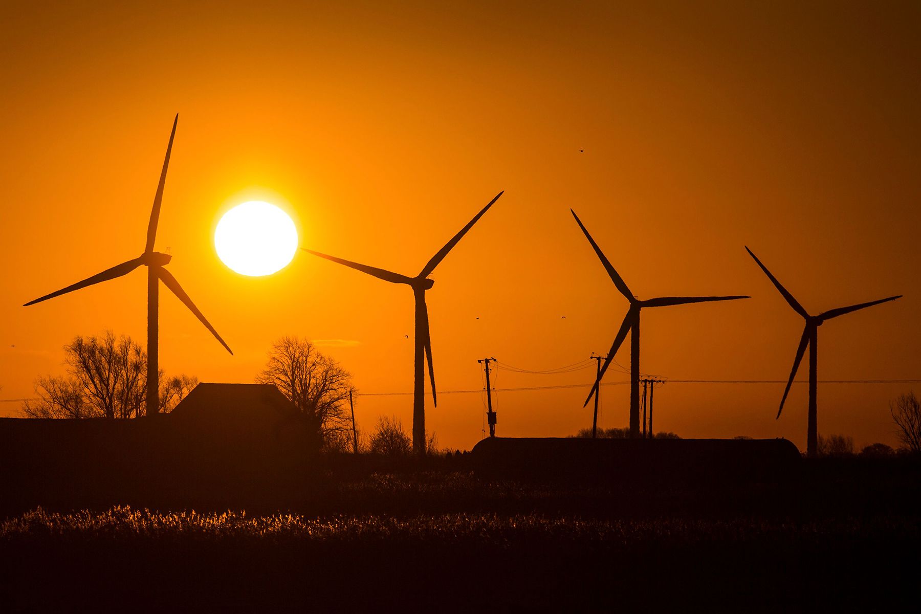 Küresel Rüzgar Enerjisi 2019’da Beşte Bir Oranında Büyüdü
