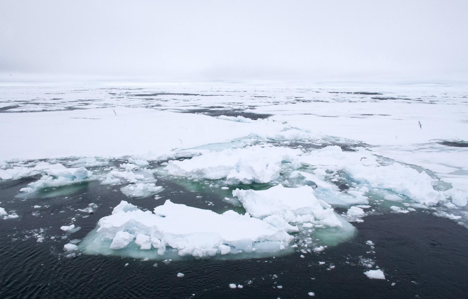 Norveç Yargıtayı Kuzey Kutbu Petrol Keşfi Davasına Bakacak