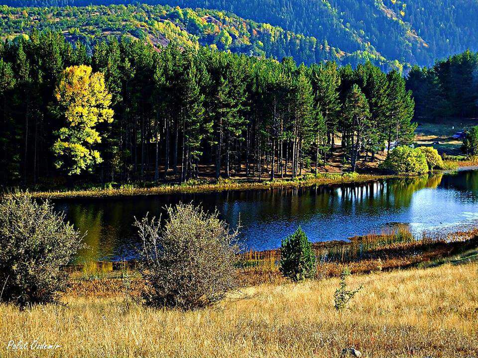 Çırpılar Termik Santrali ÇED Olumlu Kararı İptal