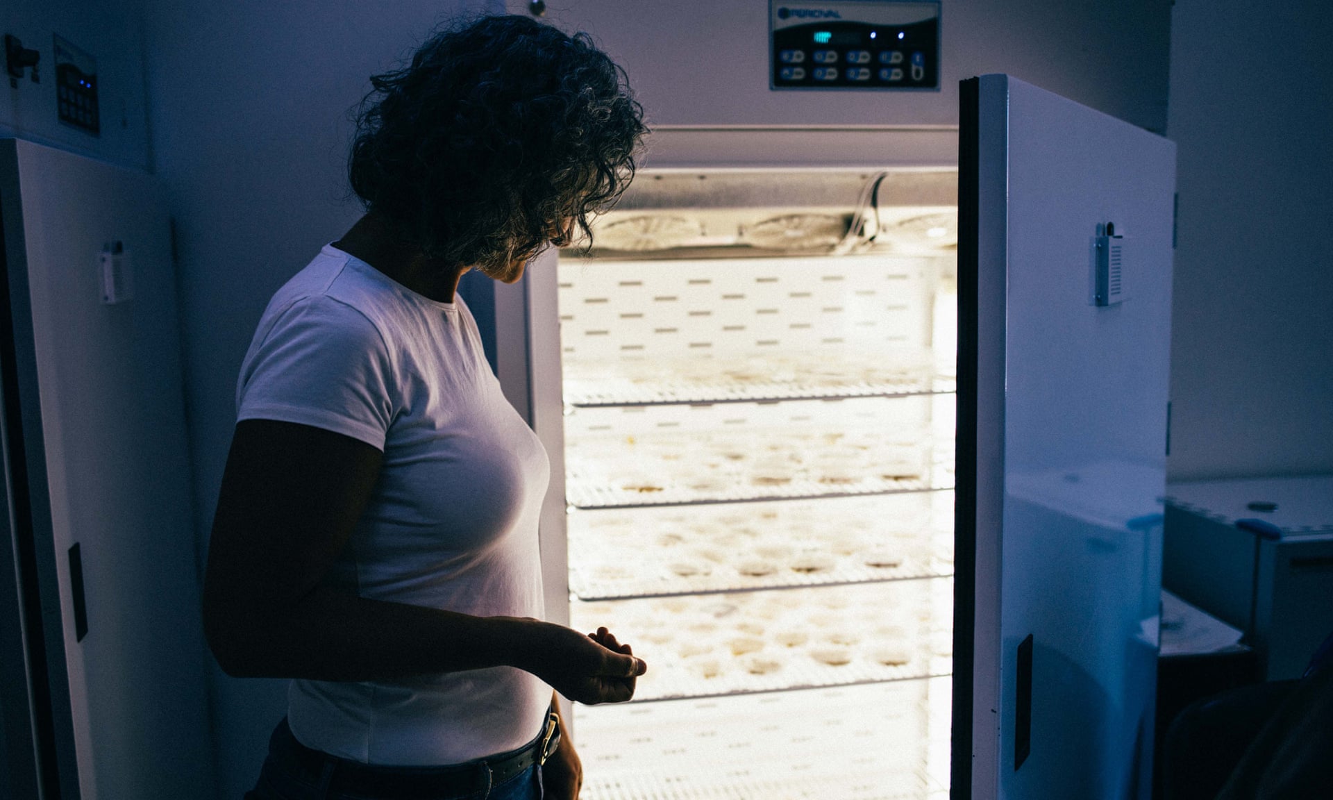 Suriyeli Mülteci Bilim Kadını Virüse Direnen Tohumlar Geliştirdi