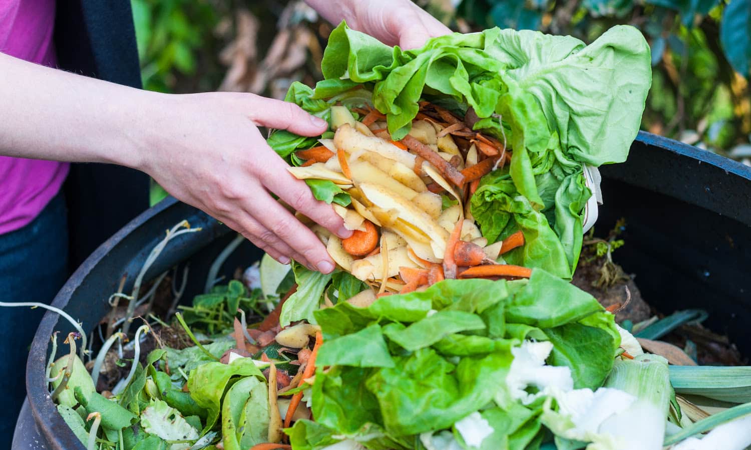 “Global Gıda Sistemi Yanlış Bir Sistemdi”