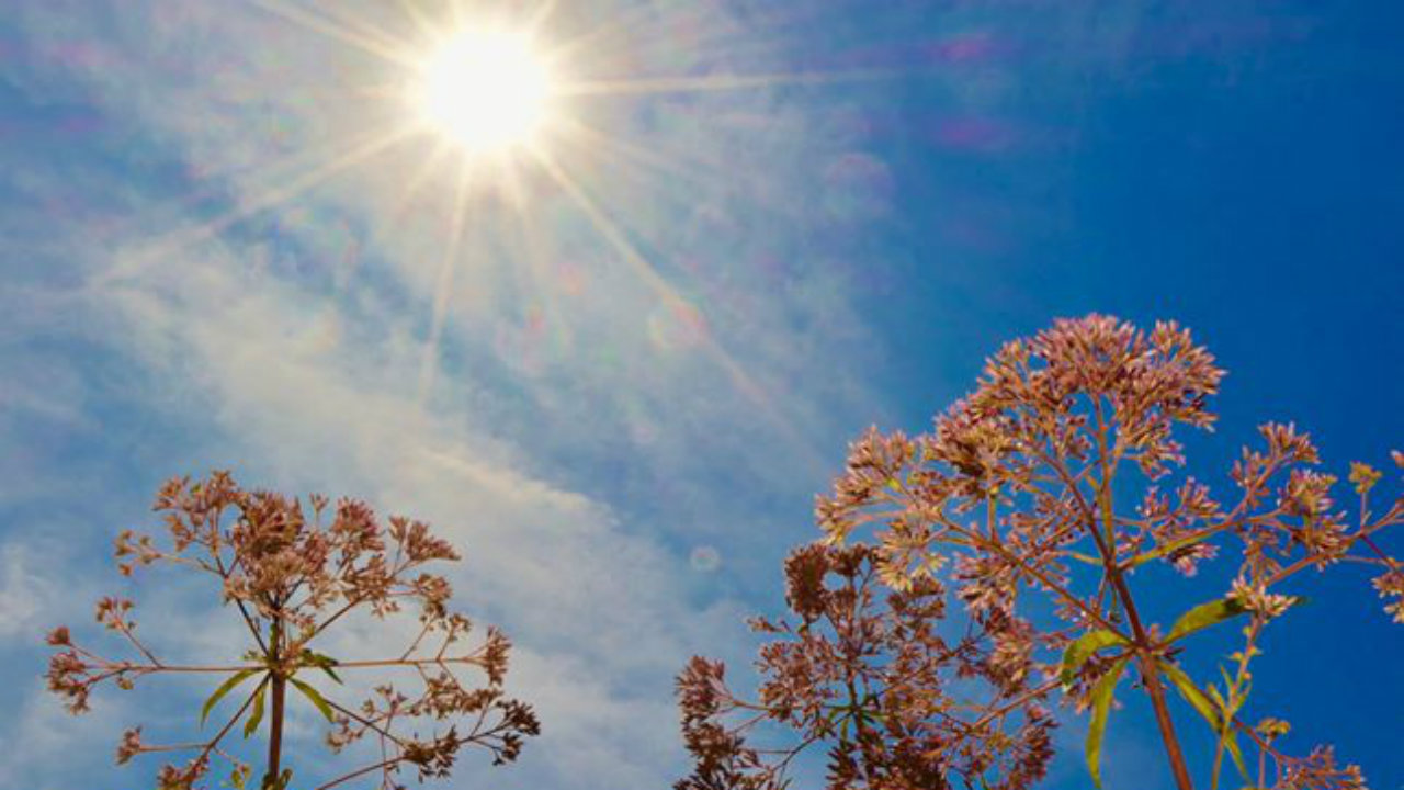 Yeni Çalışma: İnsanlığın Üçte Biri Dayanılamayacak Sıcaklara Maruz Kalabilir