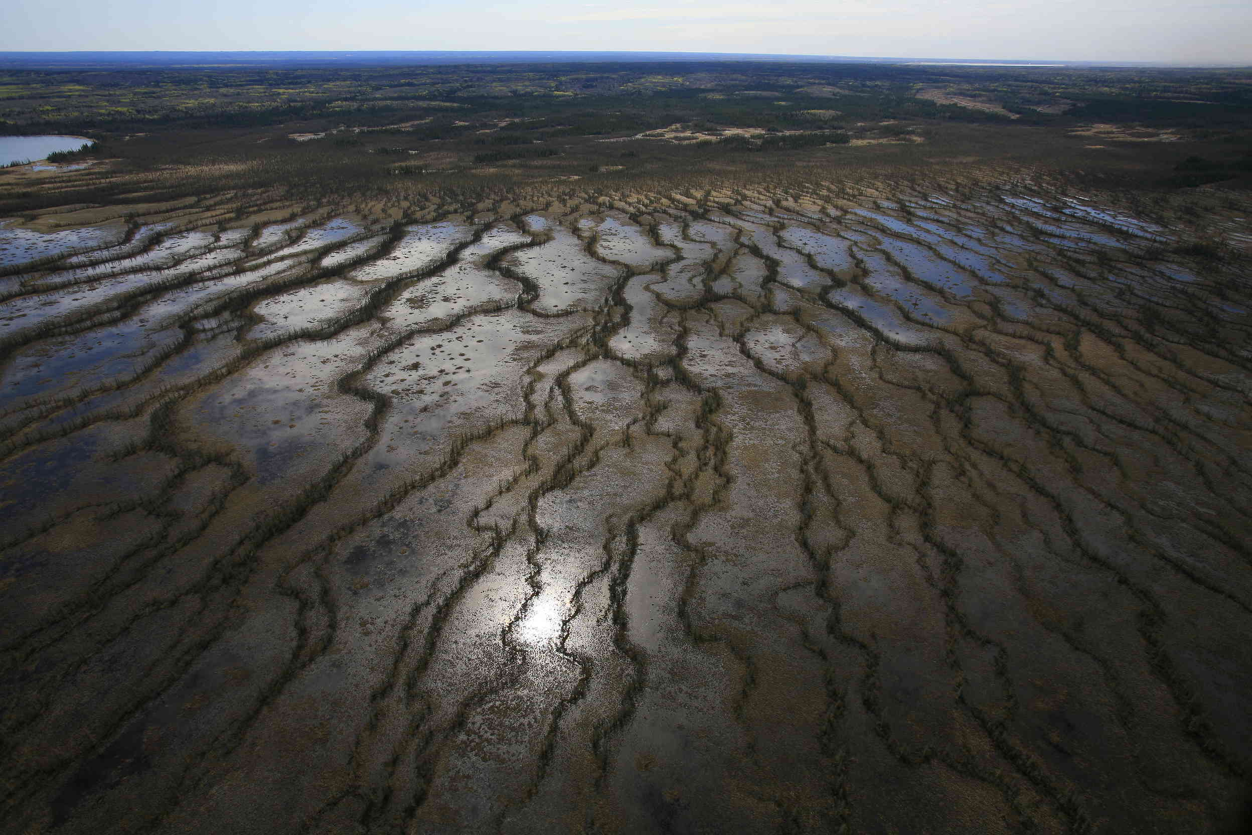 Kanada’daki Katran Kumu İşçileri Yenilenebilirlere Yöneliyor