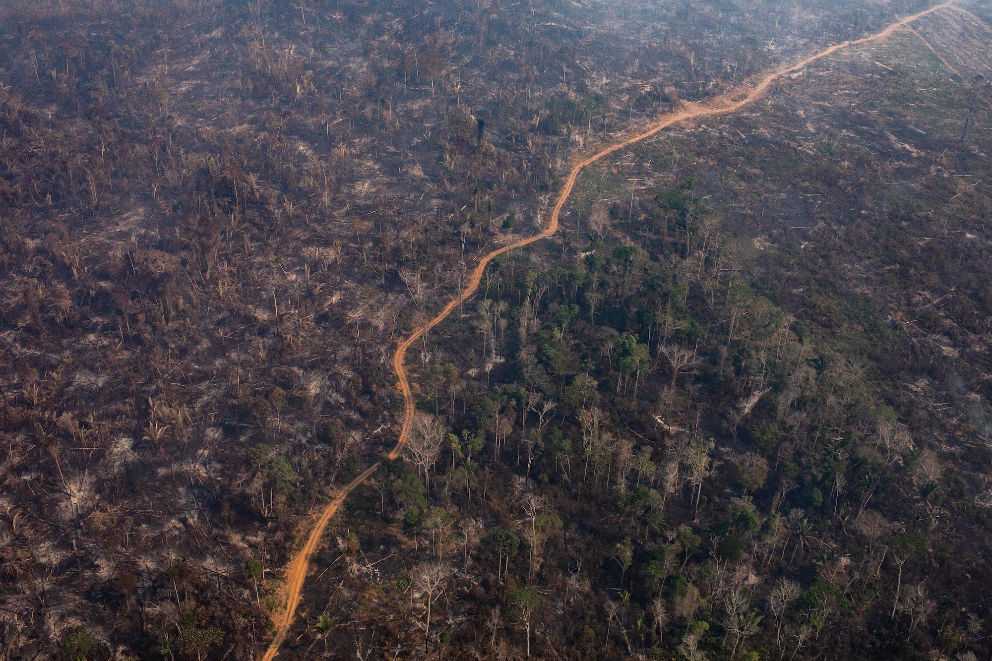 Brezilya Ordusu Amazon’daki Ormansızlaştırmayla Mücadelede Başarısız Oldu