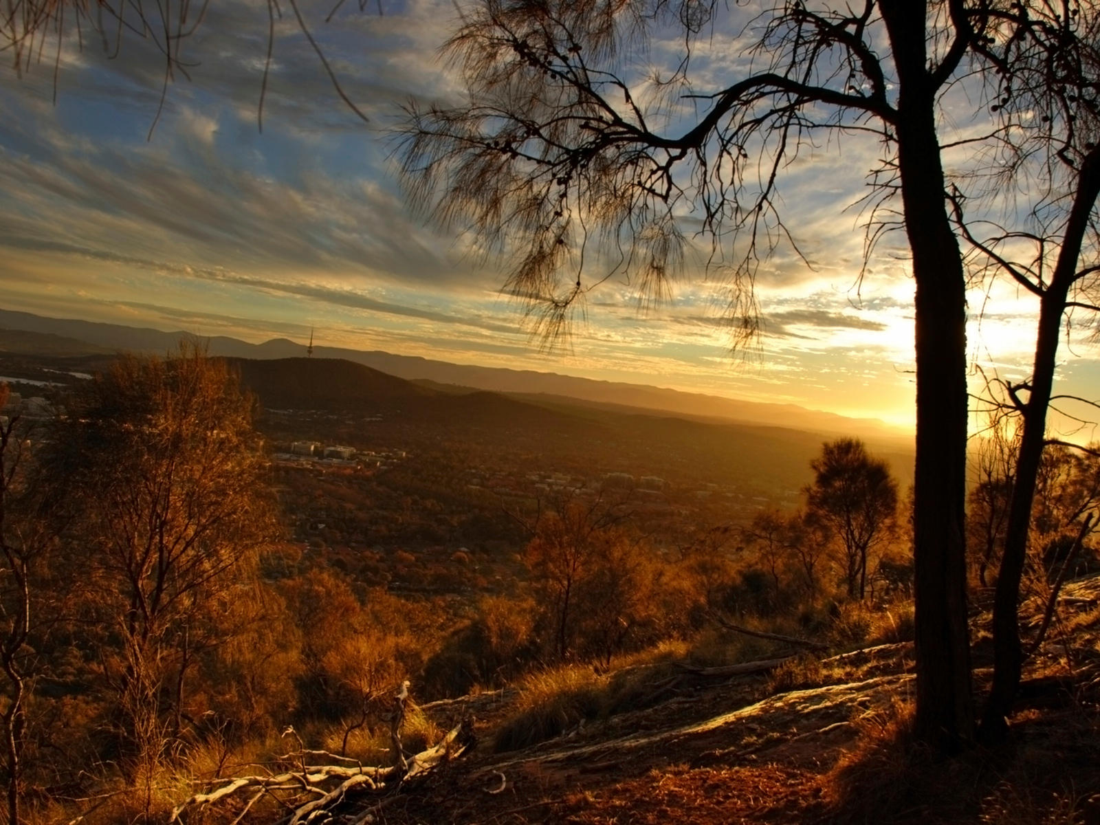 İklim Krizini Nasıl Durduramayız?