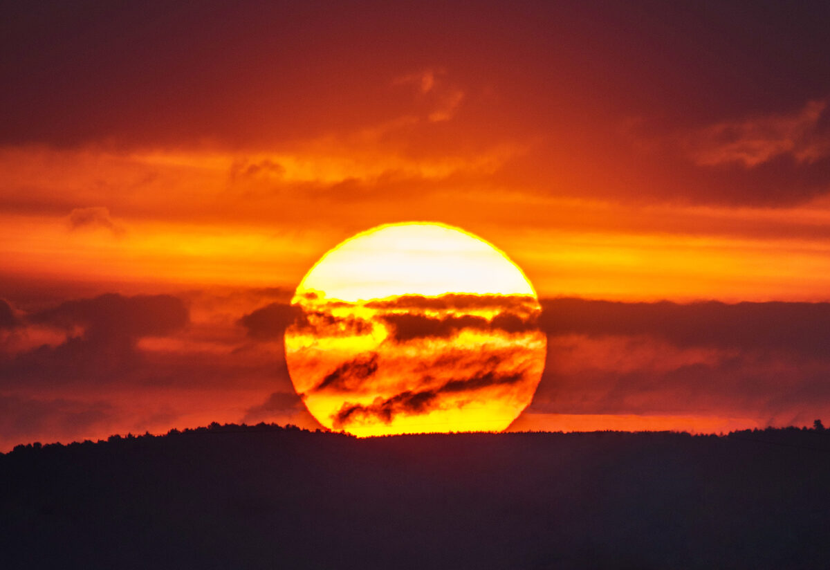 Küresel Isınma Kaynaklı “Isı Stresi” Bazı Organların Çalışmasına Engel Olabilir