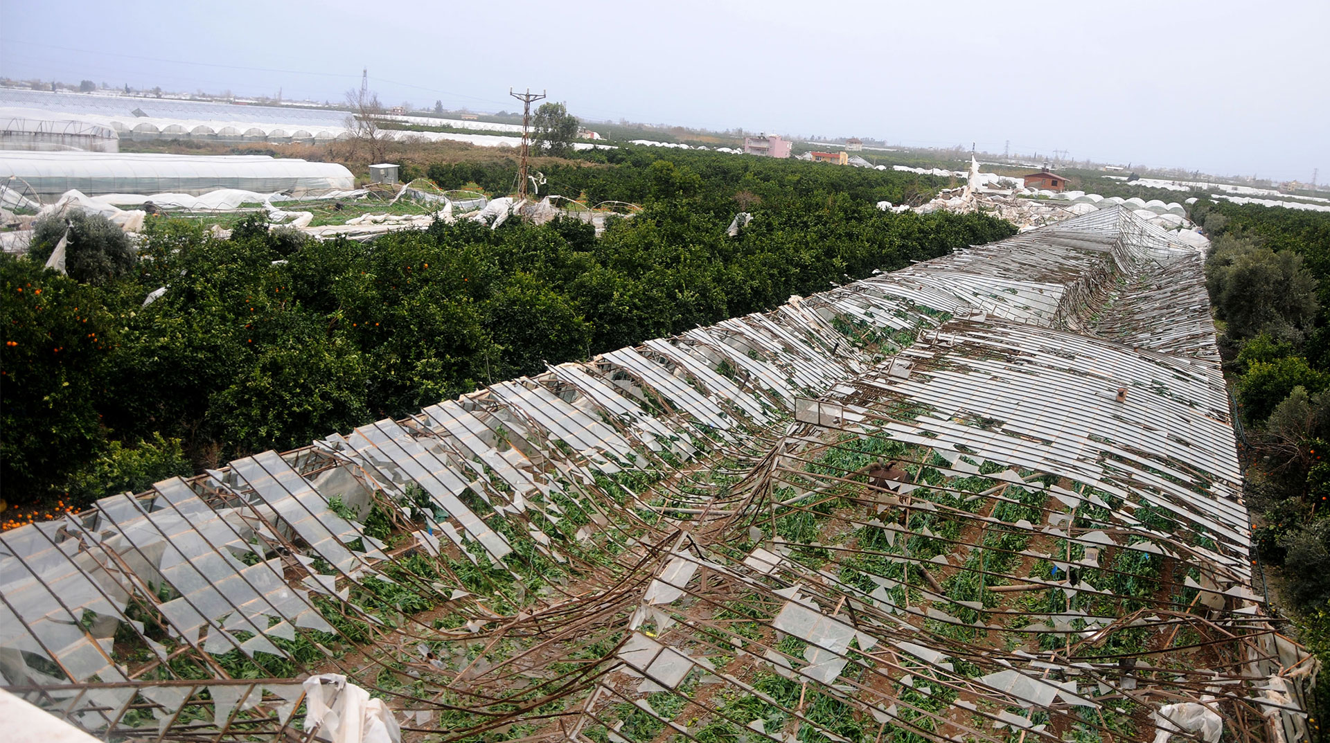 “Aşırı Hava Olayları En Çok Çiftçileri Etkiliyor”
