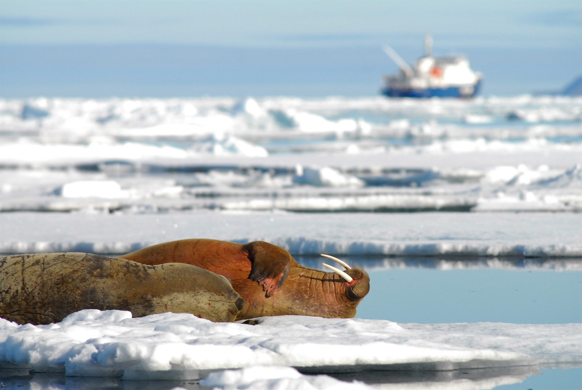 “Turizm Çevreyi ve Hatta İklim Değişikliğini de Satabiliyor”