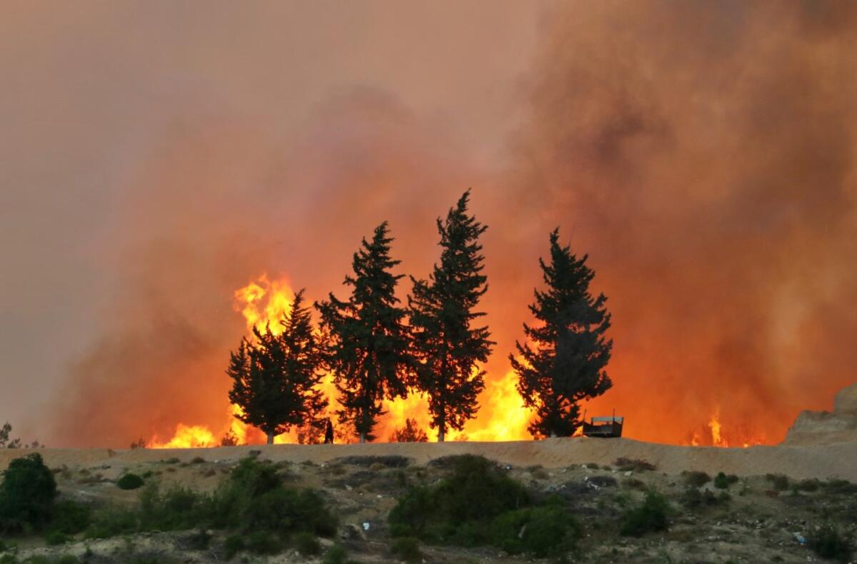 2020’de Bu Zamana Kadarki 1944 Orman Yangınında 6492 Hektar Alan Kül Oldu