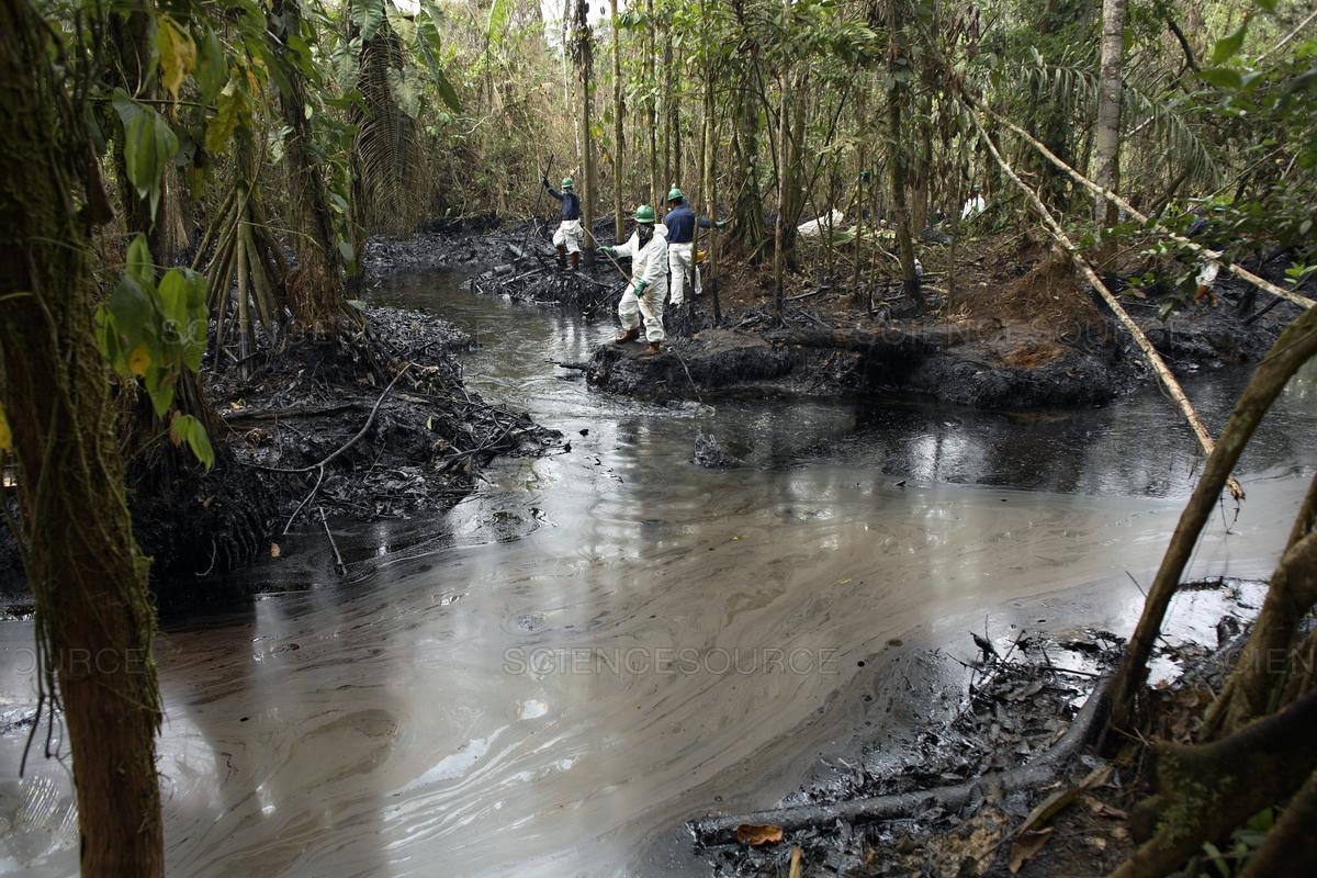 Avrupa Bankaları Amazon’da Petrol Çıkarma İşlemlerini Durdurmaları İçin Baskı Altında