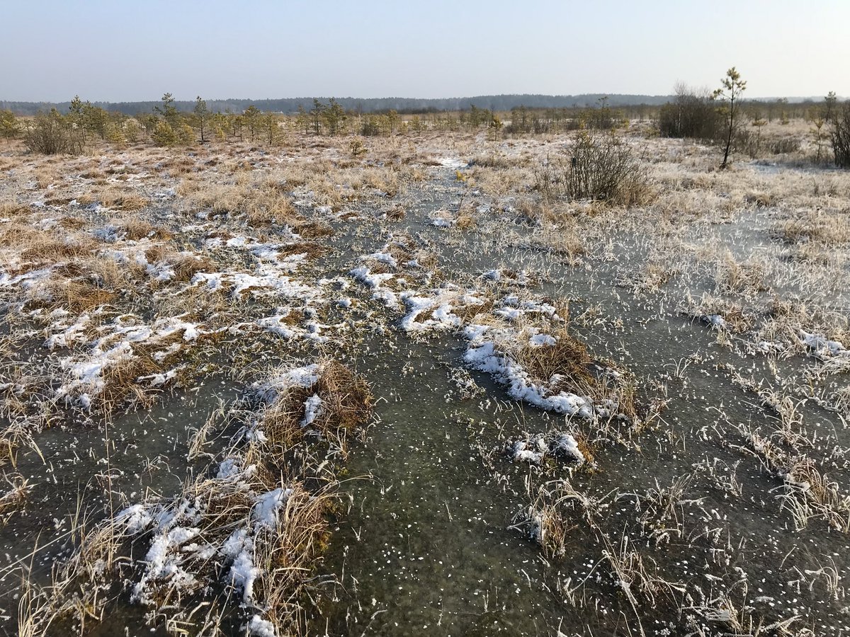 Daha Sıcak Bir Dünya Donmuş Turbalık Alanlar için Felaket Olabilir