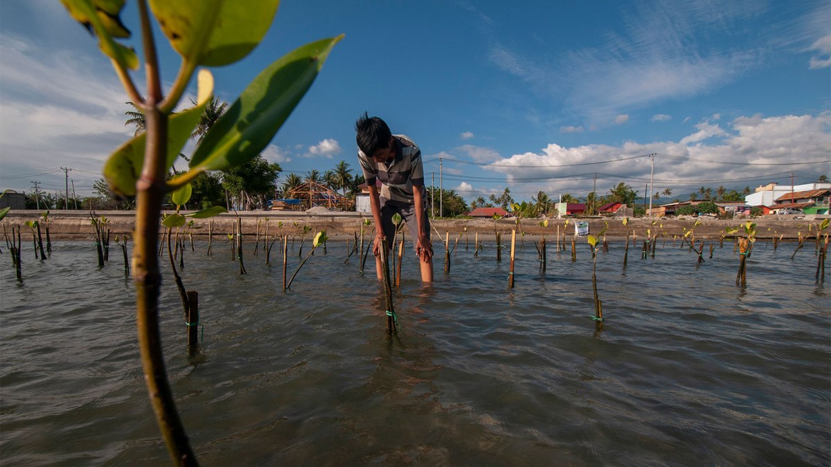 2020’nin İlk 8 Ayında Yayımlanan En Önemli 13 İklim Değişikliği Raporu