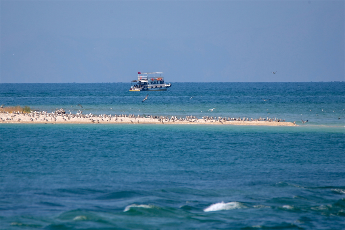 Van Gölü’nde Su Seviyesi Düşüyor