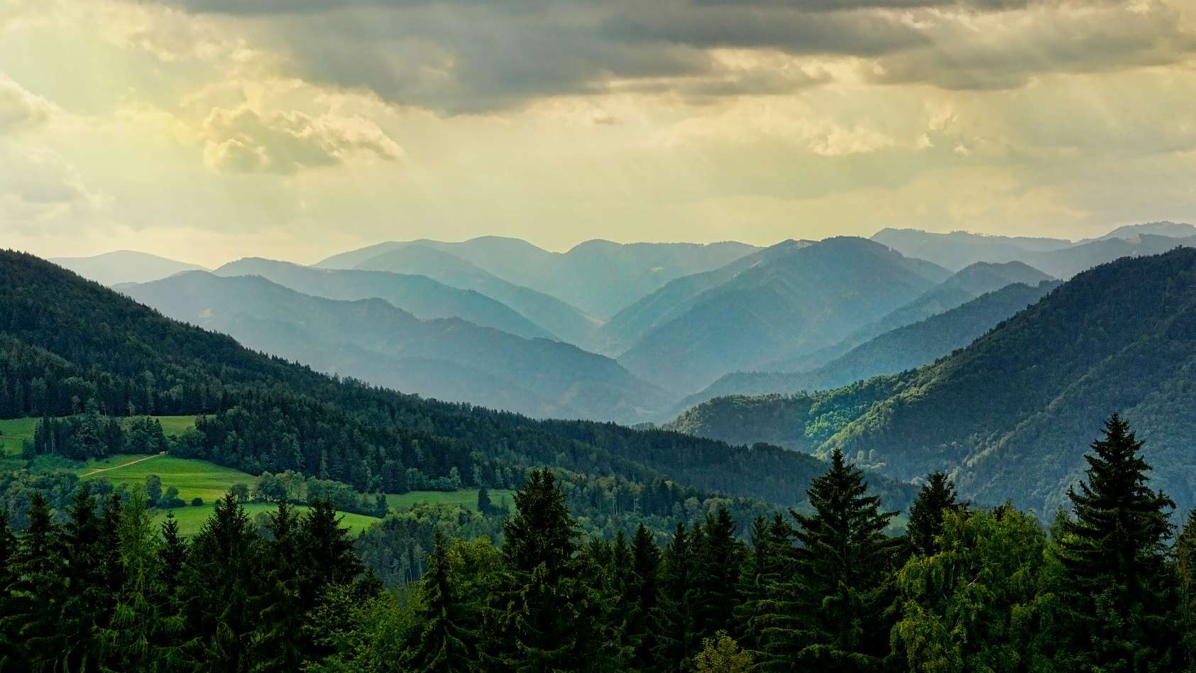 İnsana Yakışır Yaşam Dünyaya Mâl Olmak Zorunda Değil