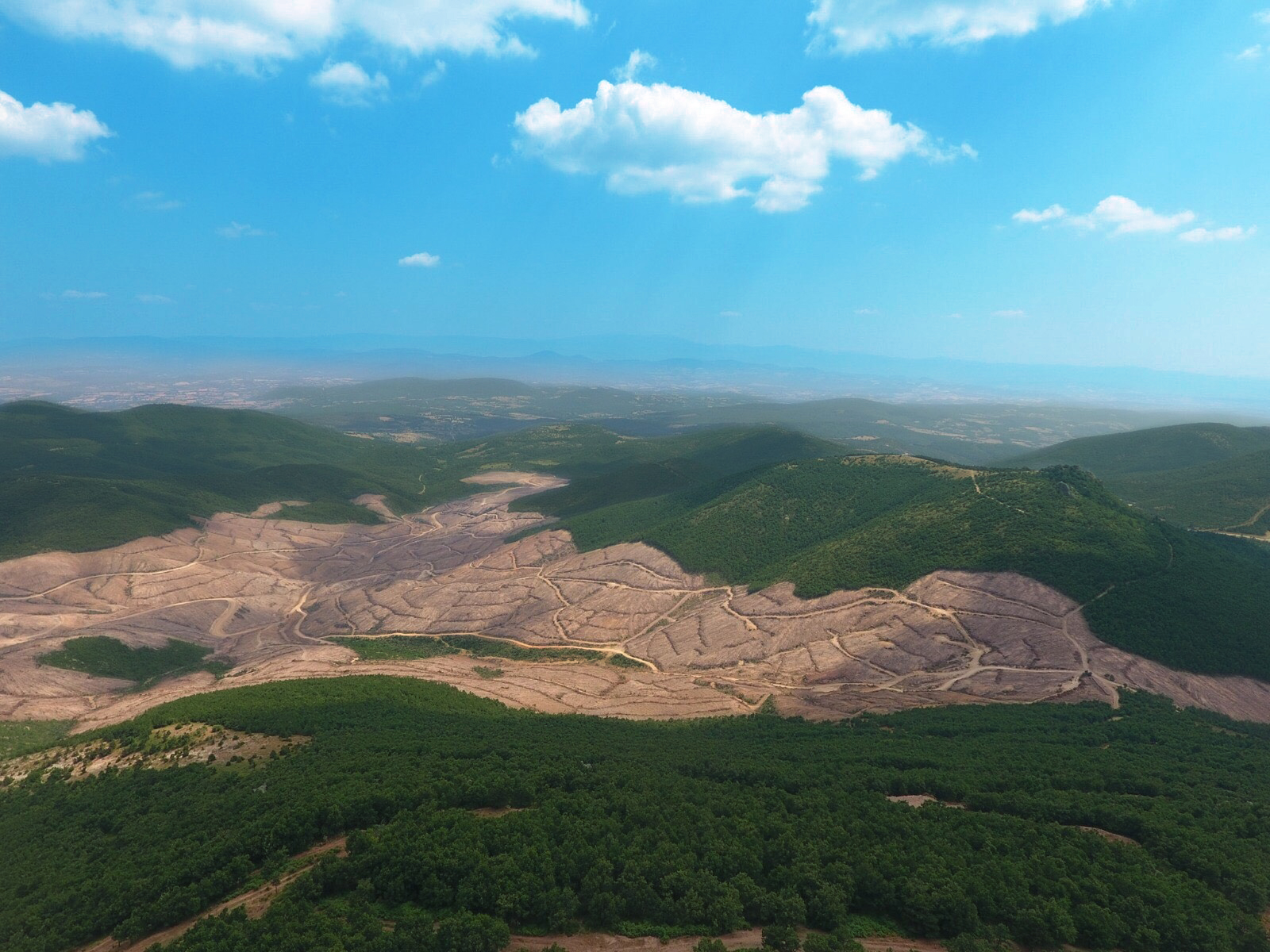 TEMA Vakfı Madde 6’ya “Hayır” Diyor