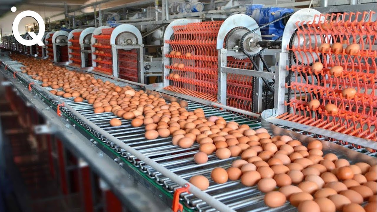 Küresel Gıda Üretimi Emisyonları Paris Anlaşması’nı Ulaşılamaz Hale Getirebilir